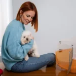 Choosing the Best Pet Relocation Company in Bahrain