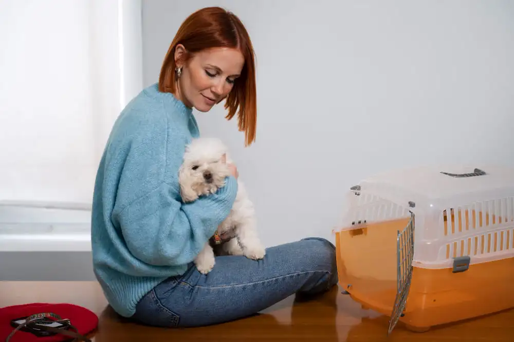 Choosing the Best Pet Relocation Company in Bahrain